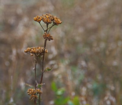 _DSC3588t3rj2.jpg