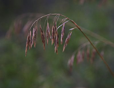 _DSC3606trj3.jpg