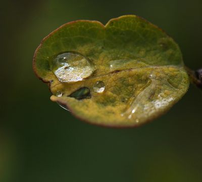 _DSC3687t2rj2.jpg