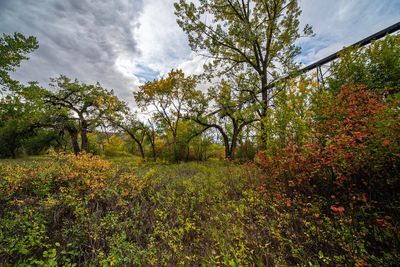_DSC3770tt2rj2.jpg
