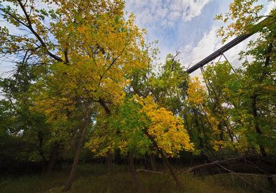 _DSC3800trj3.jpg