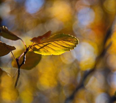 _DSC3895tt3rj2.jpg