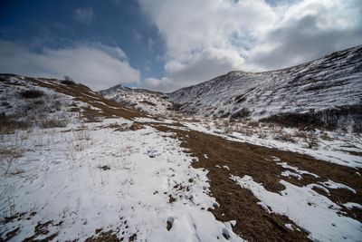 _DSC4236tt2rj2.jpg