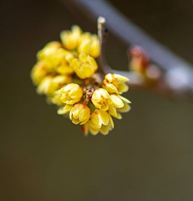 _DSC4310ttrj2.jpg
