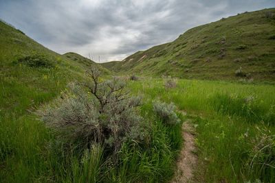 _DSC4460tt3rj2.jpg