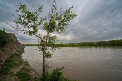 _DSC4478tt3rj2.jpg