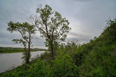 _DSC4495tt2rj2.jpg