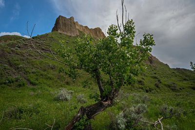 _DSC4534tt3rj2.jpg