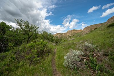 _DSC4538ttrj2.jpg