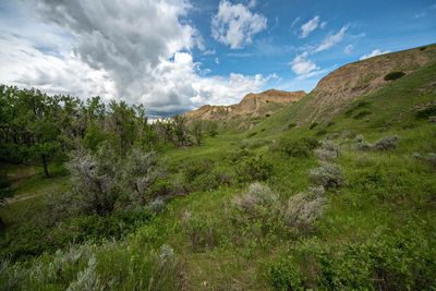 _DSC4546ttrj2.jpg