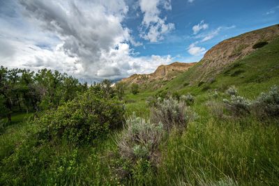 _DSC4547tt2rj2.jpg