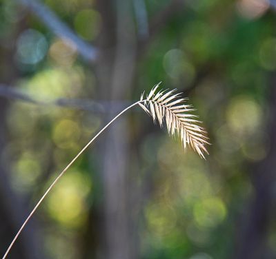 _DSC4902tt2rj2.jpg