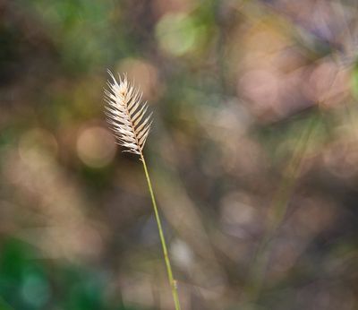 _DSC4906tt2rj2.jpg