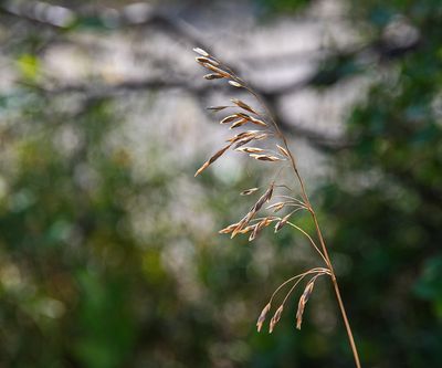 _DSC4914tt2rj2.jpg