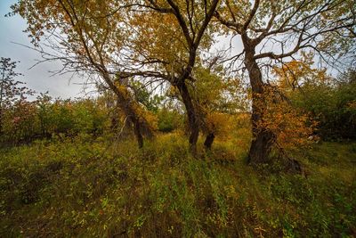 _DSC5129tt2rj2.jpg