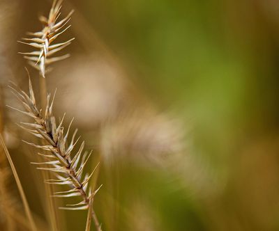 _DSC5183tt2rj2.jpg
