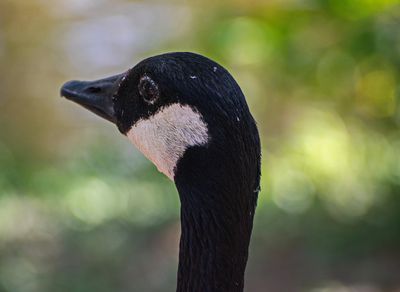 _DSC5497tt2rj2.jpg