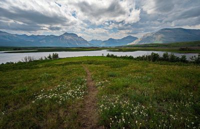 _DSC5585tt2rj2.jpg