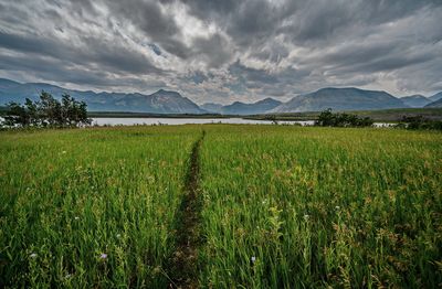 _DSC5586tt2rj2.jpg
