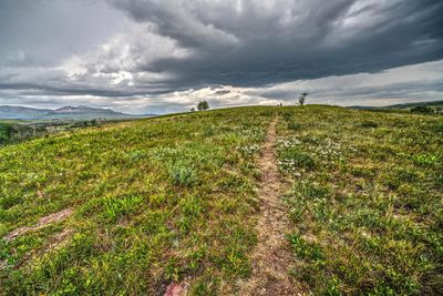 _DSC5606_Vibrant3rw2.jpg