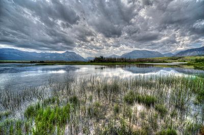 _DSC5611_Painterly 3-3rj2.jpg