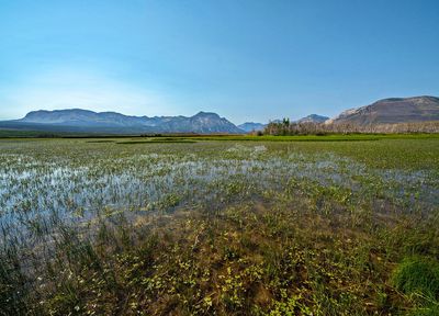 _DSC5692tt3rj2.jpg