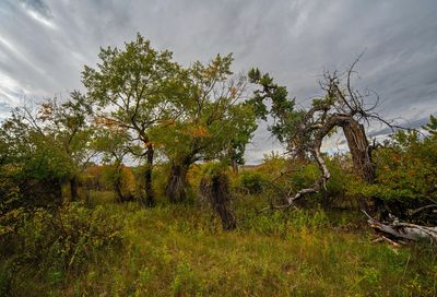 _DSC5734tt2rj2.jpg