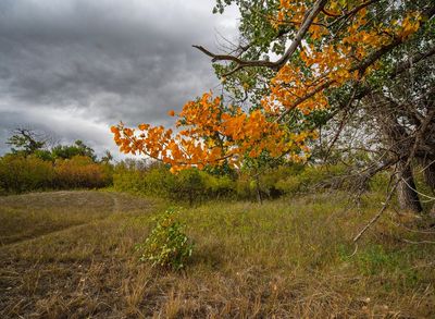 _DSC5746tt2rj2.jpg