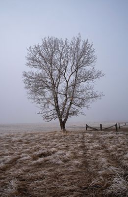 _DSC6193ttrj2.jpg