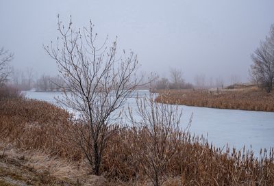 _DSC6247ttrj4.jpg