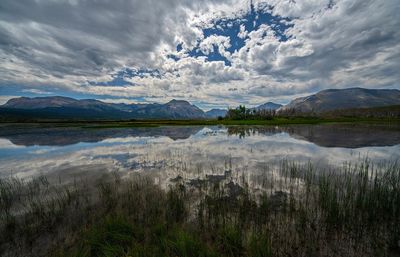_DSC6431tt2rj2.jpg