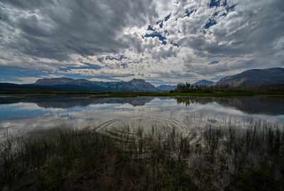 _DSC6436tt2rj2.jpg