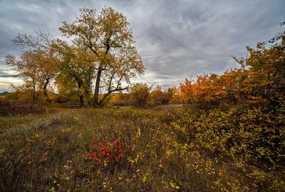 _DSC6561tt4rj2.jpg