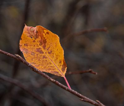 _DSC6604tt2rj3.jpg
