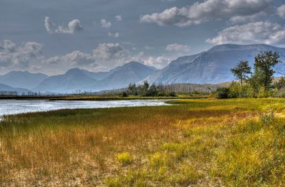 _DSC6940_Painterly tt2rj.jpg