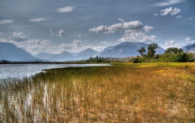 _DSC6941_Painterly tt2rj.jpg