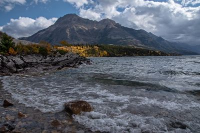 _DSC7073tt2rj.jpg