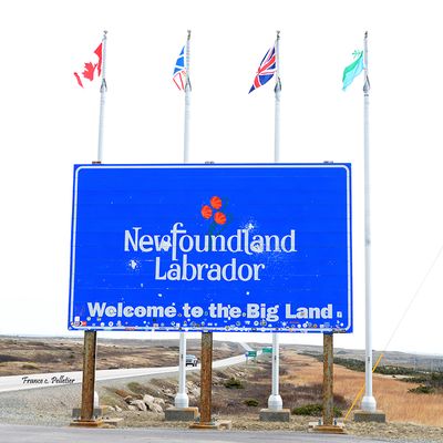 Frontiere Labrador_4x4_DSC_1353.jpg