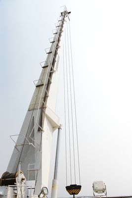 Grue_4x6_DSC_1161.jpg
