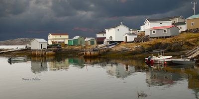 Harrington_6x3_DSC_0895.jpg