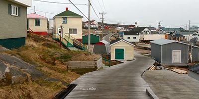 Harrington_6x3_DSC_0982.jpg