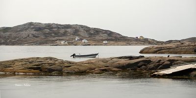 Harrington_6x3_DSC_1074.jpg