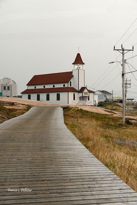 Harrington_6x4_DSC_0908.jpg