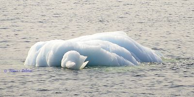 Iceberg_6x3_DSC_1221.jpg