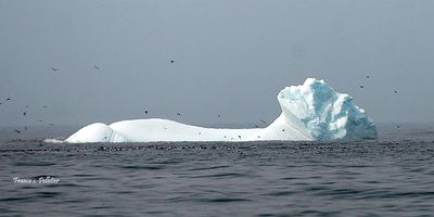 Iceberg_6x3_DSC_1342.jpg