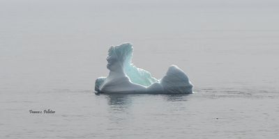 Iceberg_6x3_DSC_1377.jpg