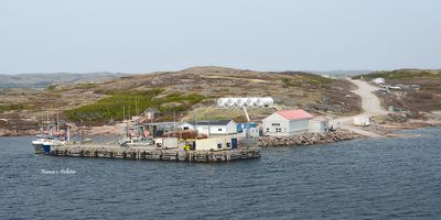Tte a la baleine_6x3_DSC_1152.jpg