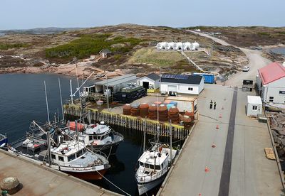 Tte a la baleine_6x4_DSC_1160.jpg