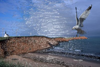 :: Îles de la Madeleine 2003 ::