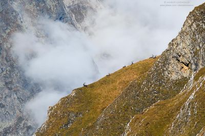 _DSC1676_web.jpg